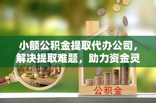 嘉兴小额公积金提取代办公司，解决提取难题，助力资金灵活使用