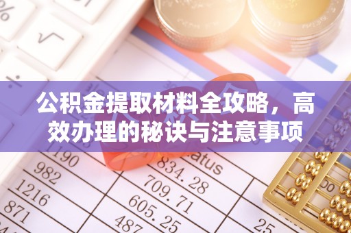 嘉兴公积金提取材料全攻略，高效办理的秘诀与注意事项