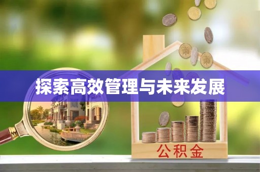 嘉兴探索高效管理与未来发展