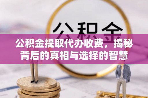 嘉兴公积金提取代办收费，揭秘背后的真相与选择的智慧