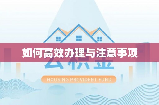 嘉兴如何高效办理与注意事项