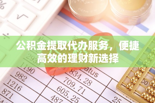 嘉兴公积金提取代办服务，便捷高效的理财新选择
