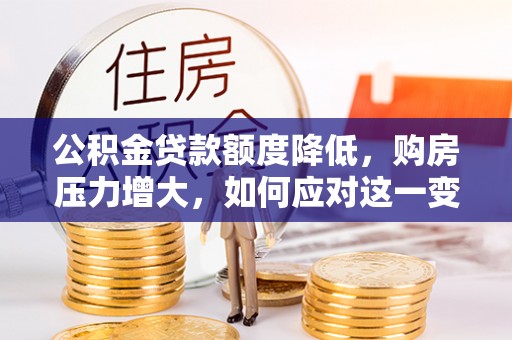 嘉兴公积金贷款额度降低，购房压力增大，如何应对这一变化？