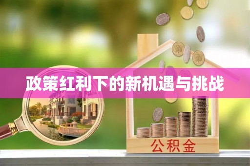 嘉兴政策红利下的新机遇与挑战