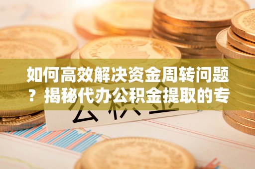 嘉兴如何高效解决资金周转问题？揭秘代办公积金提取的专业服务