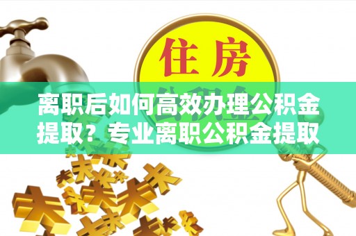 嘉兴离职后如何高效办理公积金提取？专业离职公积金提取代办服务详解