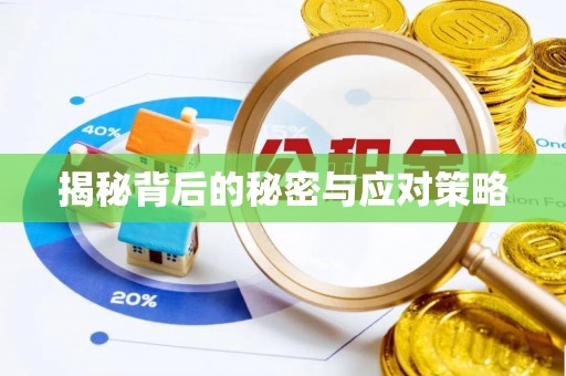 嘉兴揭秘背后的秘密与应对策略