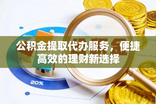 嘉兴公积金提取代办服务，便捷高效的理财新选择