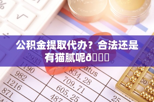嘉兴公积金提取代办？合法还是有猫腻呢😏