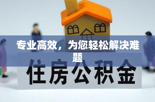 嘉兴专业高效，为您轻松解决难题
