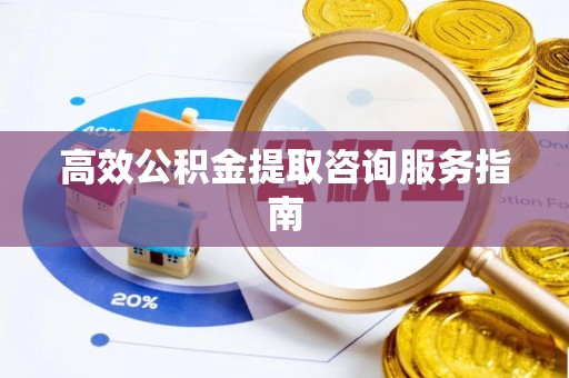 嘉兴高效公积金提取咨询服务指南