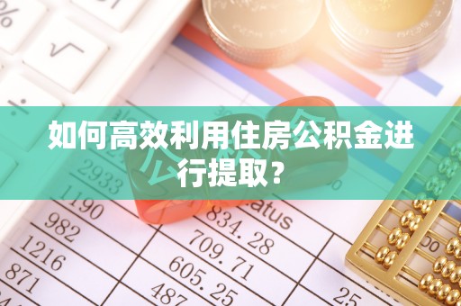 嘉兴如何高效利用住房公积金进行提取？