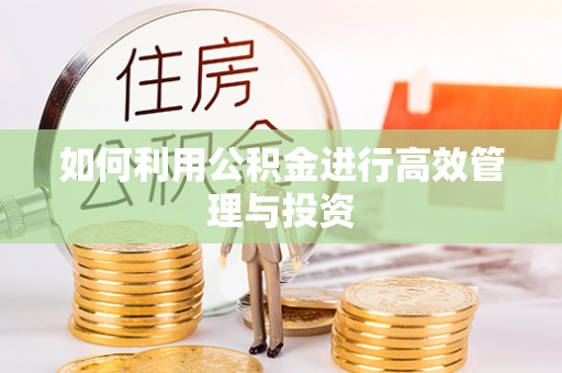 嘉兴如何利用公积金进行高效管理与投资