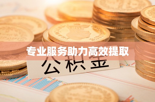 嘉兴专业服务助力高效提取