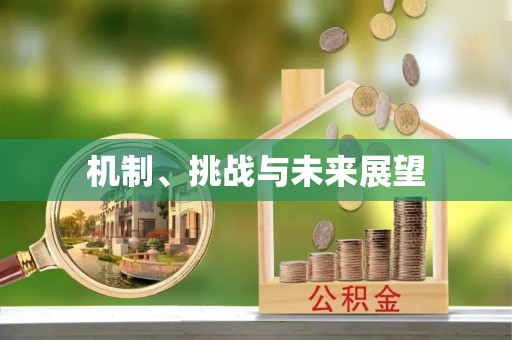 嘉兴机制、挑战与未来展望