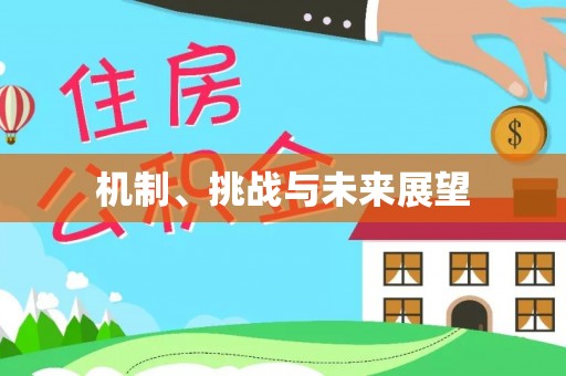 嘉兴机制、挑战与未来展望
