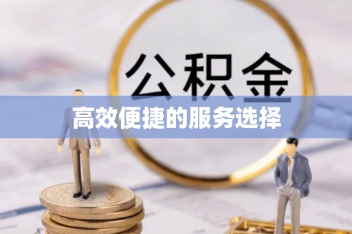 嘉兴高效便捷的服务选择