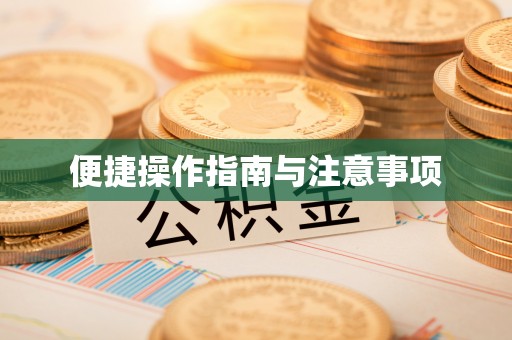 嘉兴便捷操作指南与注意事项