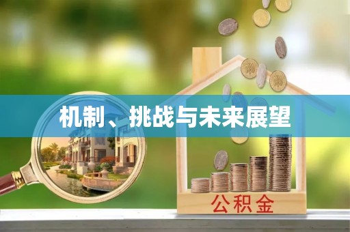 嘉兴机制、挑战与未来展望
